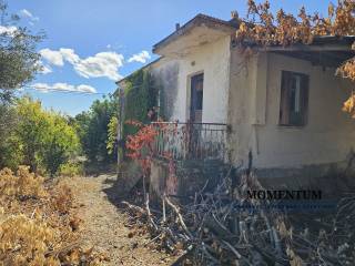 Εξωτερικοι χώροι