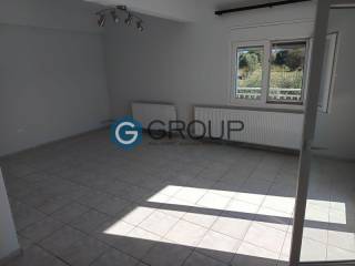 Σαλοκουζίνα