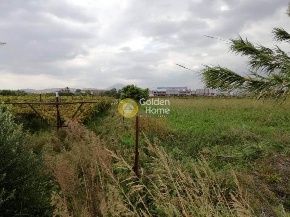 Εξωτερικός Χώρος