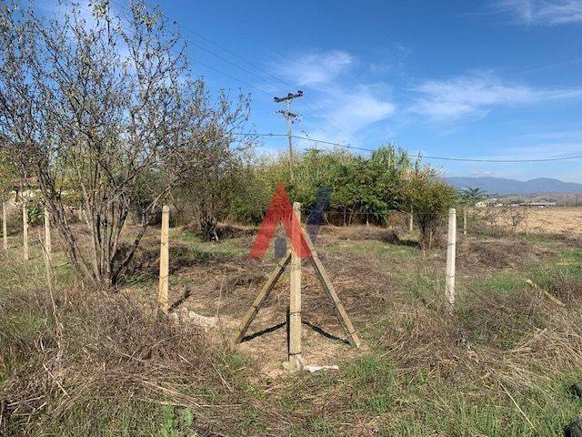 ΓΛΥΚΕΡΙΑ ΒΡΥΟΤΟΠΟΣ 1.jpg