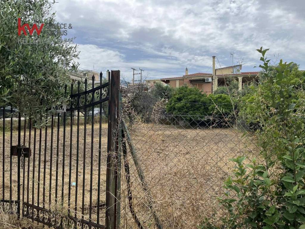 Εξωτερικοι χώροι