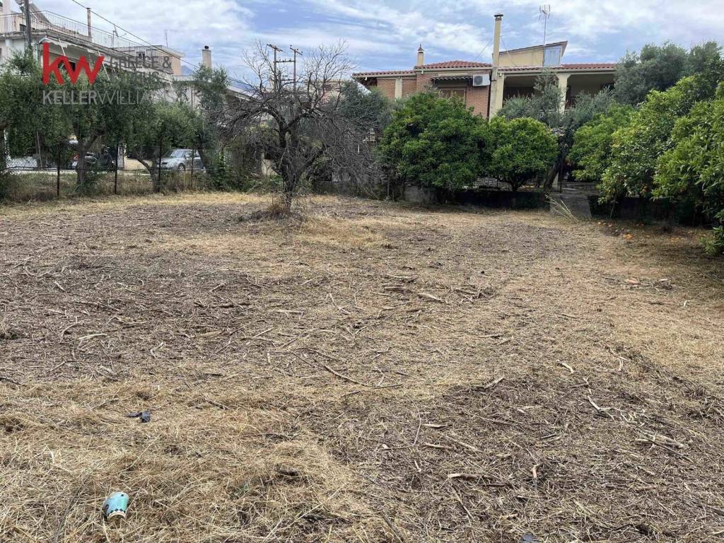 Εξωτερικοι χώροι