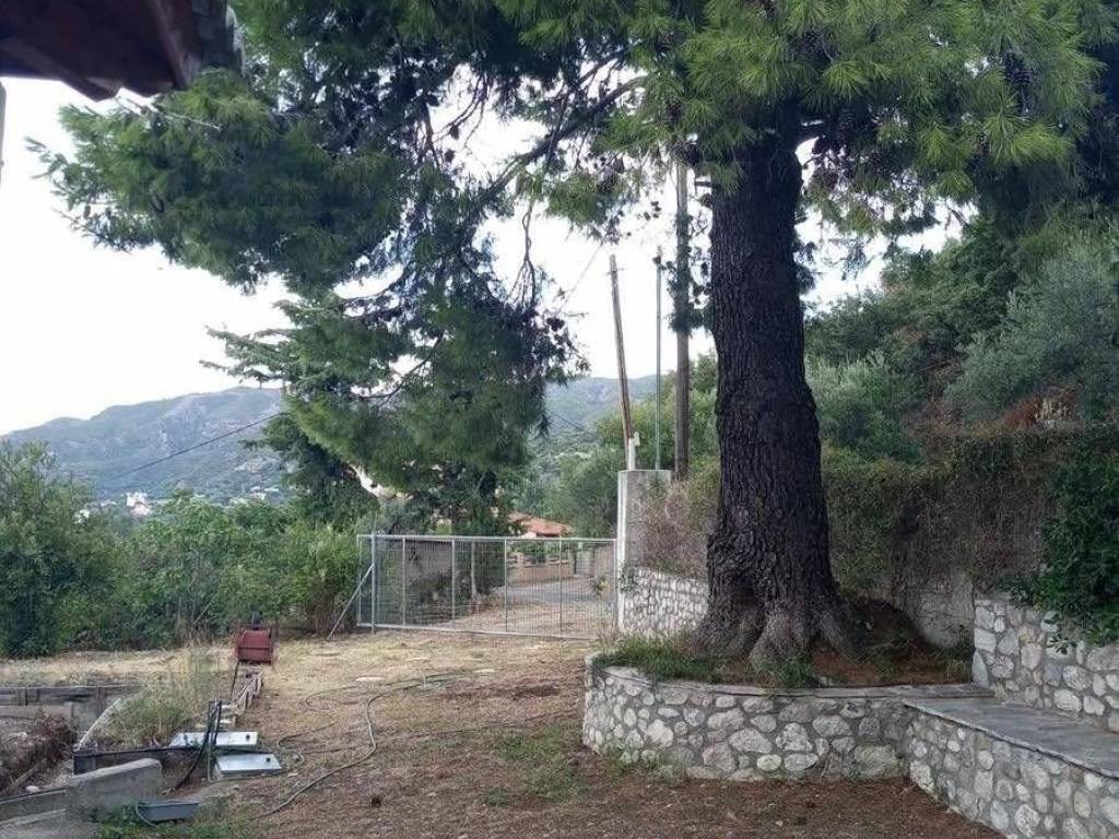 Εξωτερική άποψη