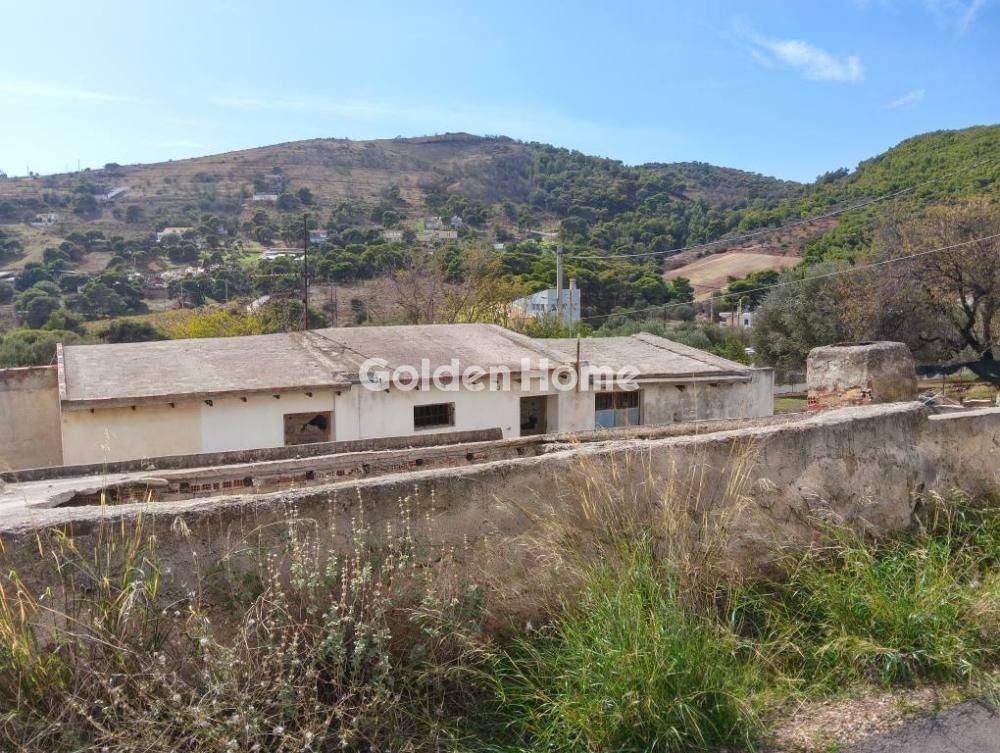 Εξωτερικός Χώρος