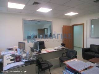 ΕΣΩΤΕΡΙΚΗ ΛΗΨΗ