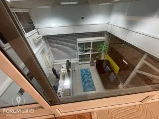 Forumland Real Estate, Πατάρι