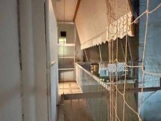 ΜΠΑΛΚΟΝΙ ΠΟΥ ΒΛΕΠΕΙ ΣΤΟΝ ΑΚΑΛΥΠΤΟ ΤΗΣ ΠΟΛΥΚΑΤΟΙΚΙΑ