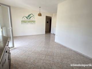 Ενιαίος χώρος