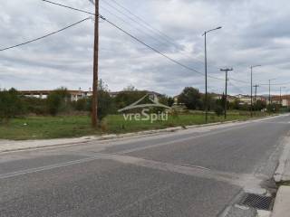 ΑΠΟΨΗ ΟΙΚΟΠΕΔΟΥ