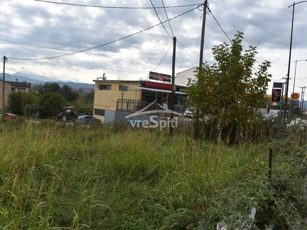 ΑΠΟΨΗ ΟΙΚΟΠΕΔΟΥ