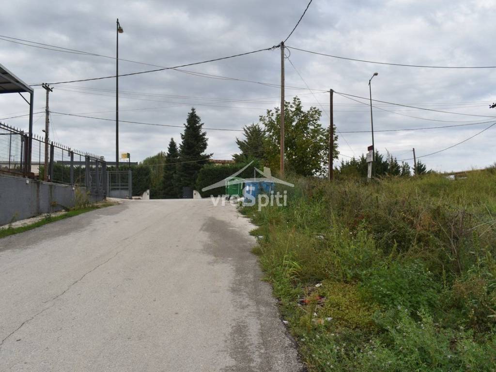 ΑΠΟΨΗ ΟΙΚΟΠΕΔΟΥ