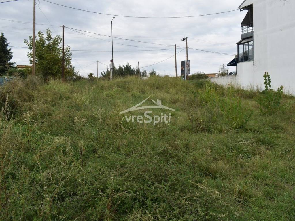 ΑΠΟΨΗ ΟΙΚΟΠΕΔΟΥ