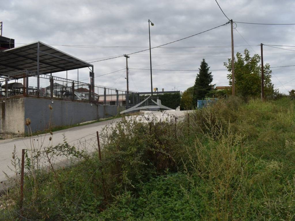 ΑΠΟΨΗ ΟΙΚΟΠΕΔΟΥ