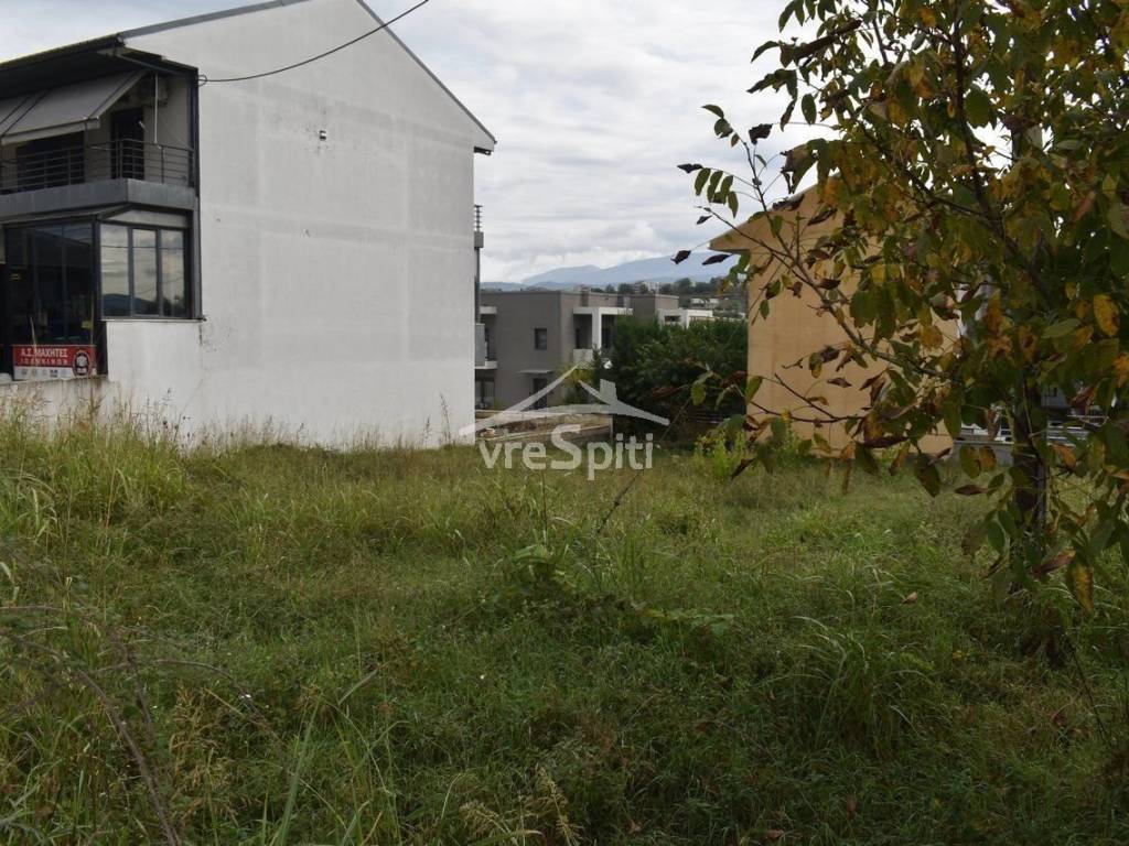 ΑΠΟΨΗ ΟΙΚΟΠΕΔΟΥ