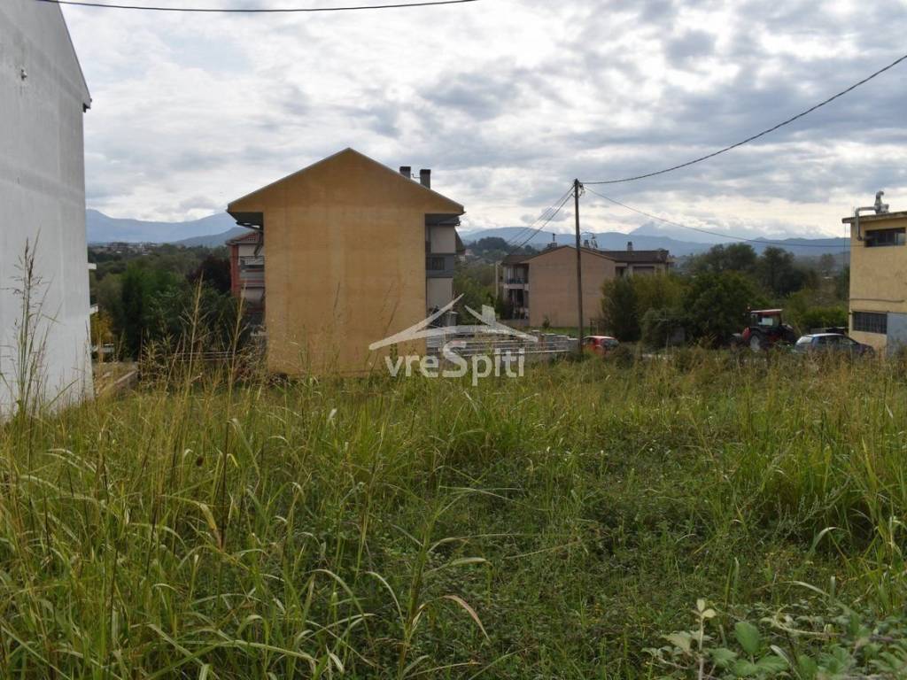 ΑΠΟΨΗ ΟΙΚΟΠΕΔΟΥ