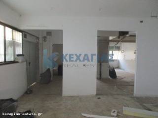 ISOGEIO CHOROS KOYZINAS - LANTZAS KAI PARASKEYASTERIOY