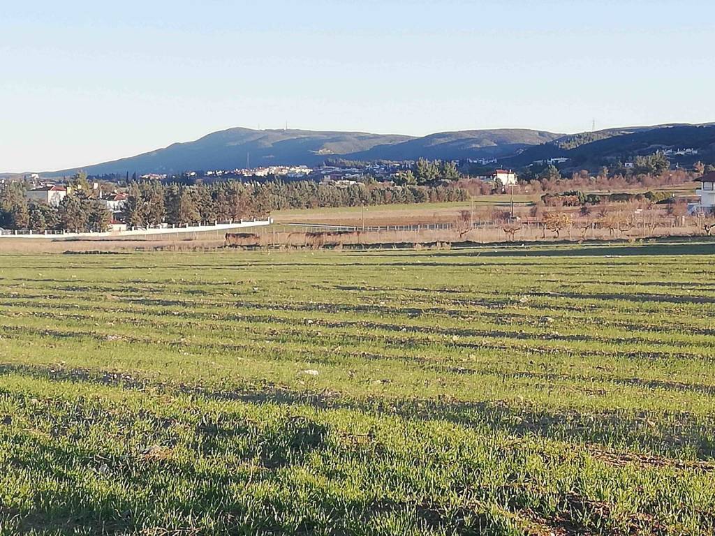 Γύρω περιοχή