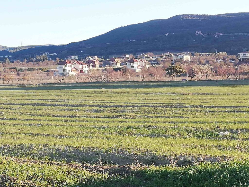 Γυρω περιοχή