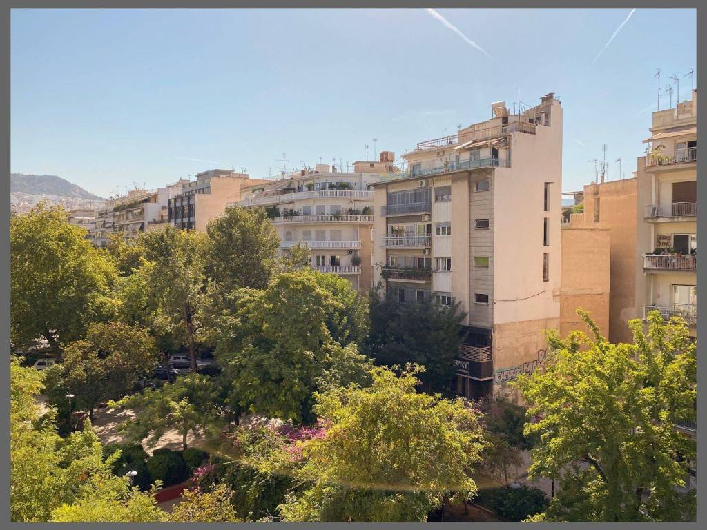 Millennium Real Estate