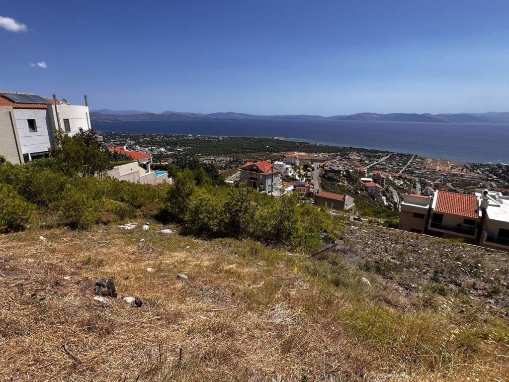 Εξωτερικοι χώροι