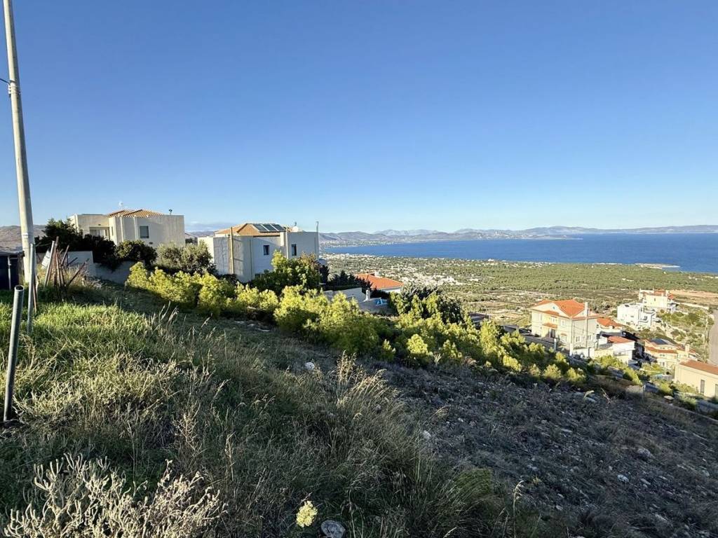 Εξωτερικοι χώροι