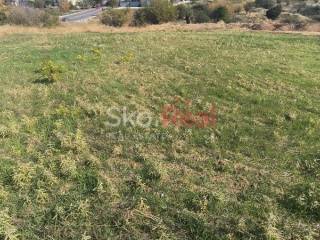 Αγροτεμάχιο