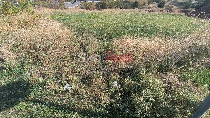 Αγροτεμάχιο