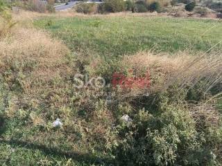 Αγροτεμάχιο