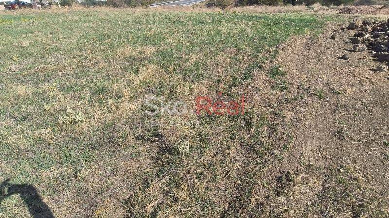 Αγροτεμάχιο