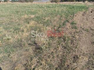 Αγροτεμάχιο