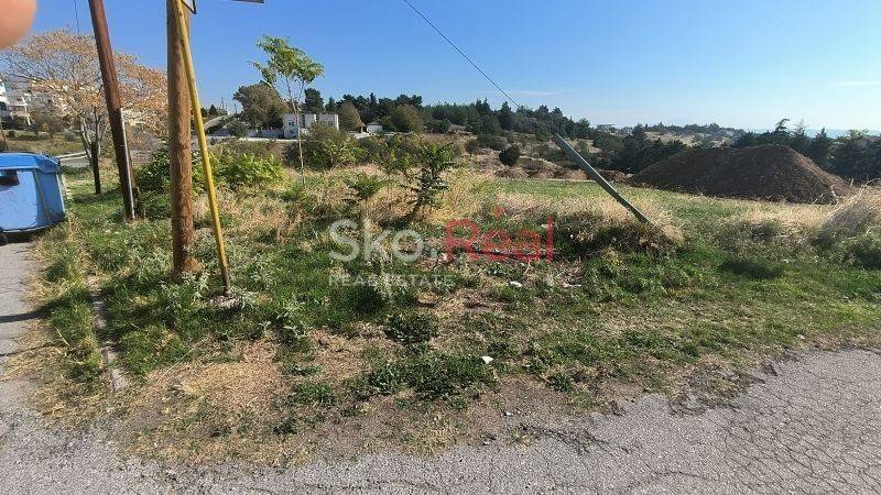 Αγροτεμάχιο