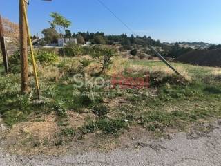 Αγροτεμάχιο