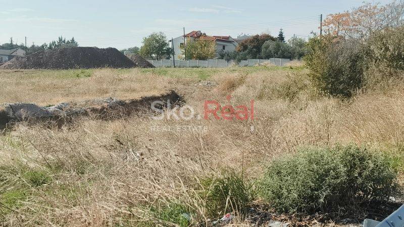 Αγροτεμάχιο