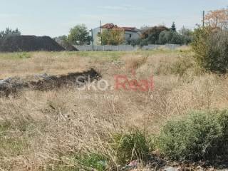 Αγροτεμάχιο