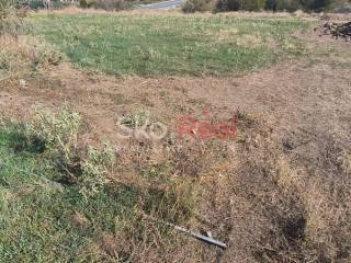 Αγροτεμάχιο