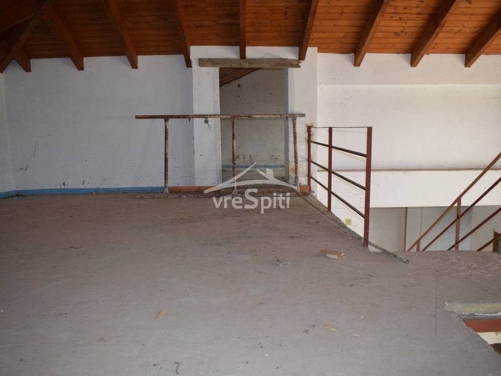 ΑΠΟΨΗ ΣΟΦΙΤΑΣ