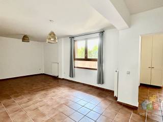 Ημιυπόγειο