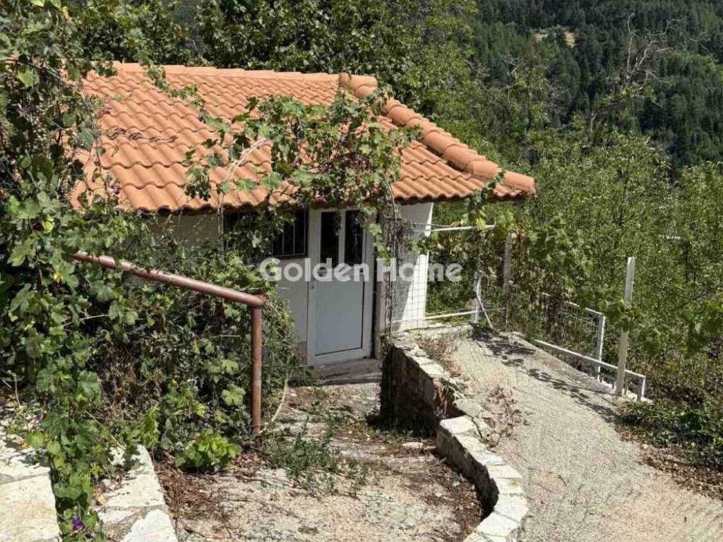 Εξωτερικός Χώρος