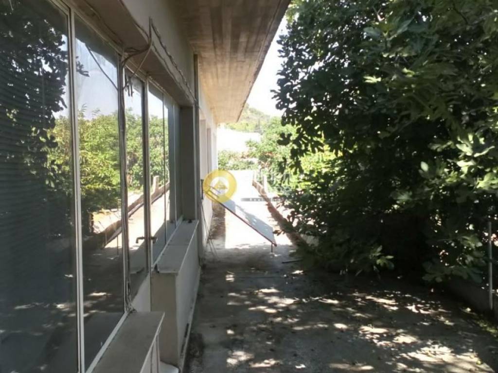 Ανελκυστήρας