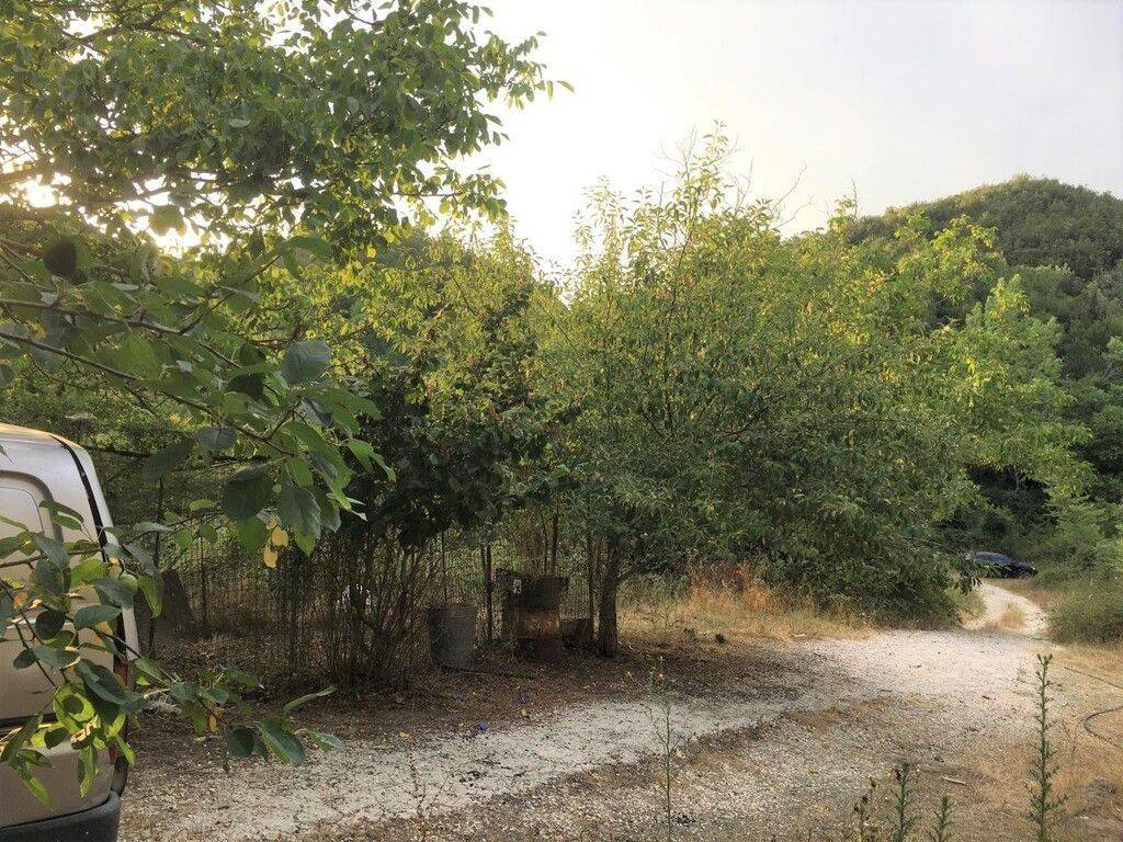 Detached - Grekodom 48272|698035