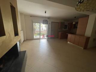 ΗΜΙΥΠΟΓΕΙΟ