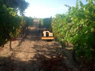 Ουρανούπολη, Κτήμα, 9.500 τ.μ.