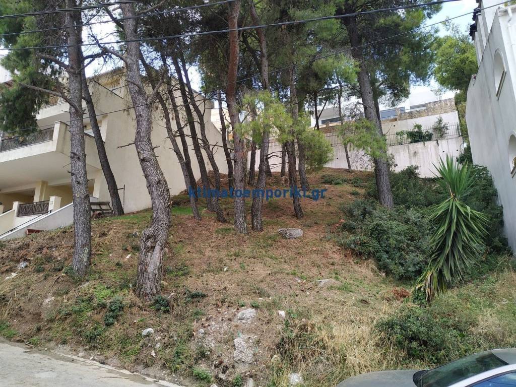 Εξωτερικοι χώροι