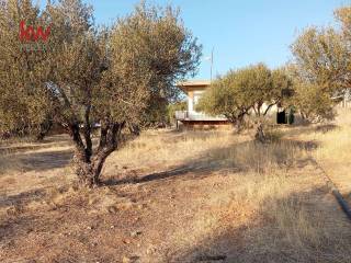 Εξωτερικοι χώροι