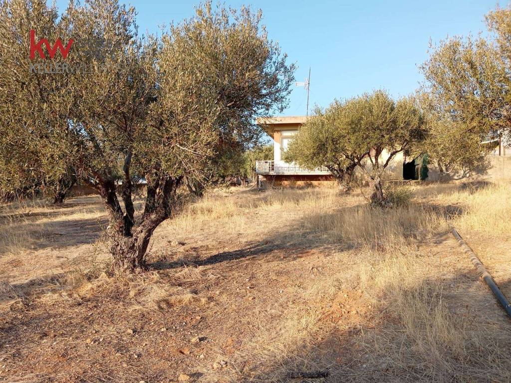 Εξωτερικοι χώροι