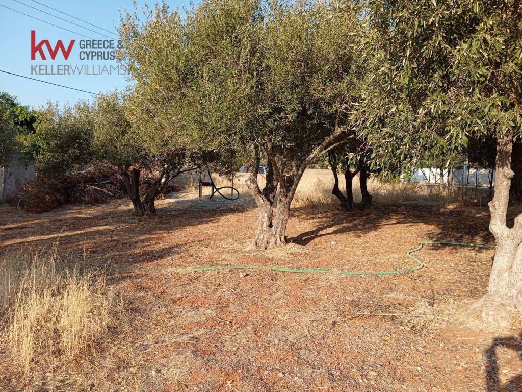 Εξωτερικοι χώροι