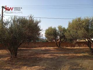 Εξωτερικοι χώροι