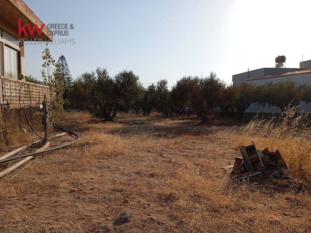 Εξωτερικοι χώροι