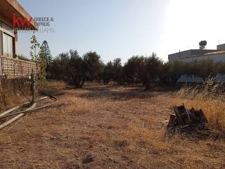 Εξωτερικοι χώροι