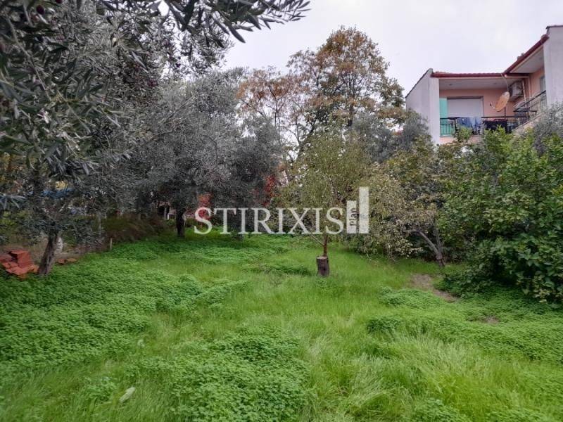 Εξωτερικός χώρος